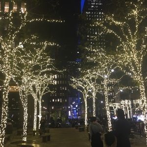 Meet your Posher, Ashlay